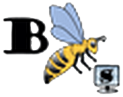 logo bbees